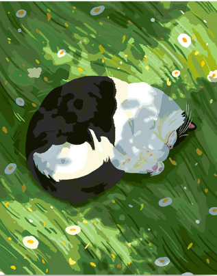 Catabi