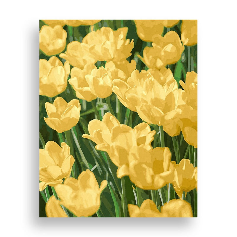 May Tulips